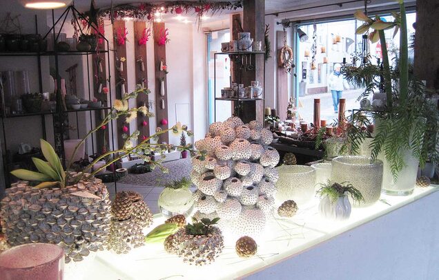 Dekorationsobjekte und Pflanzen im Ladengeschäft von Blumen Steber
