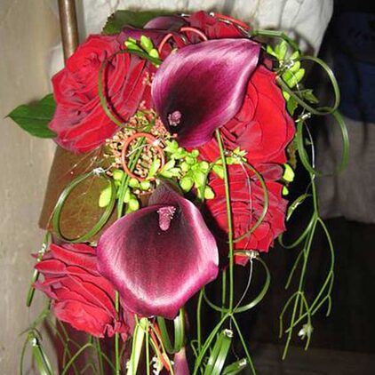 Wasserfallförmiger Brautstrauß mit roten Callas und Amaryllis